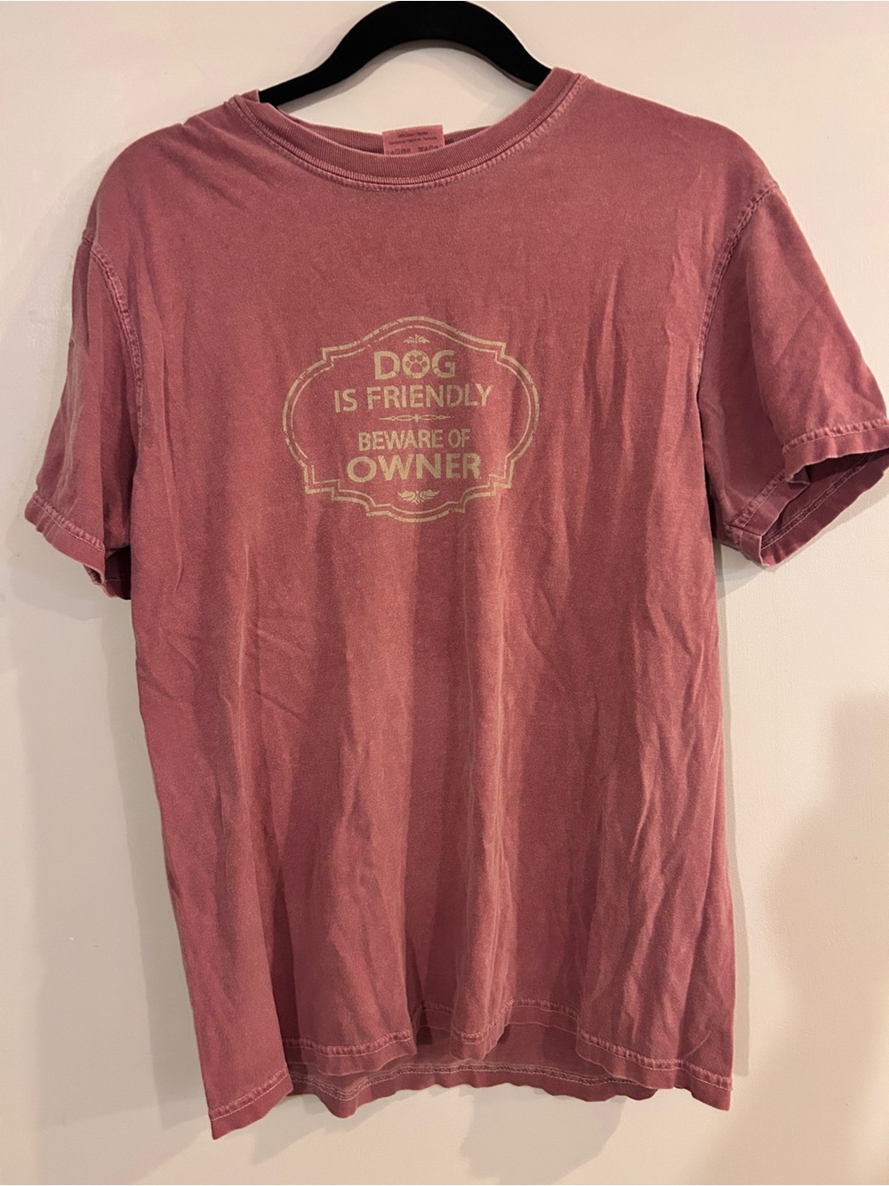 Comfort Colors Dusty Rose Short Sleeve 'Dog Is Friendly' Graphic Tee